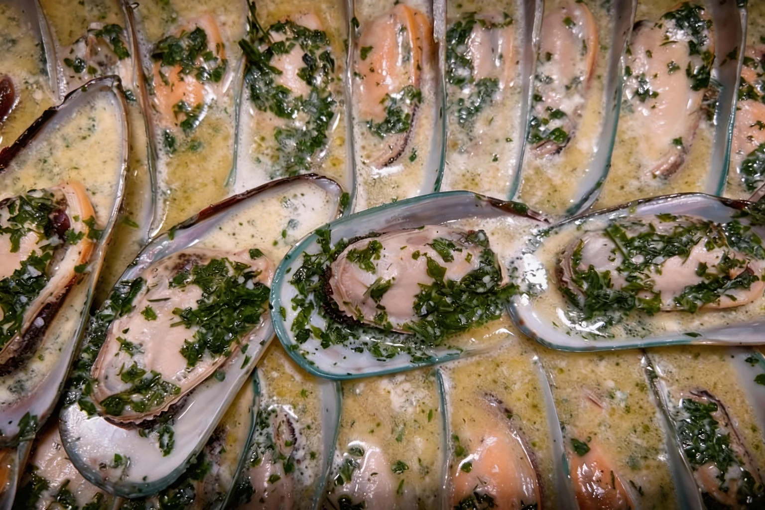 Mussels in cream sauce, close-up.